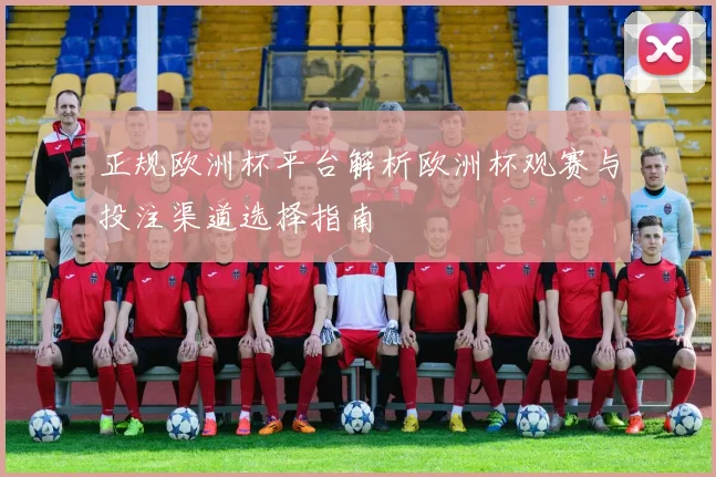 正规欧洲杯平台解析欧洲杯观赛与投注渠道选择指南
