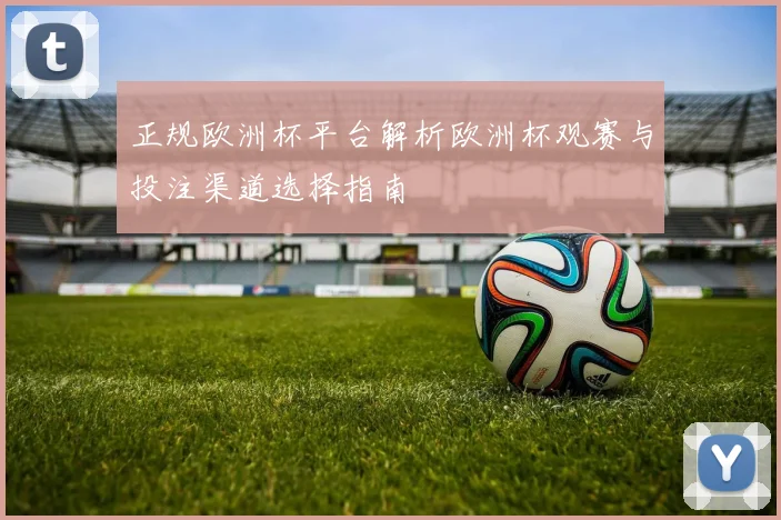 正规欧洲杯平台解析欧洲杯观赛与投注渠道选择指南