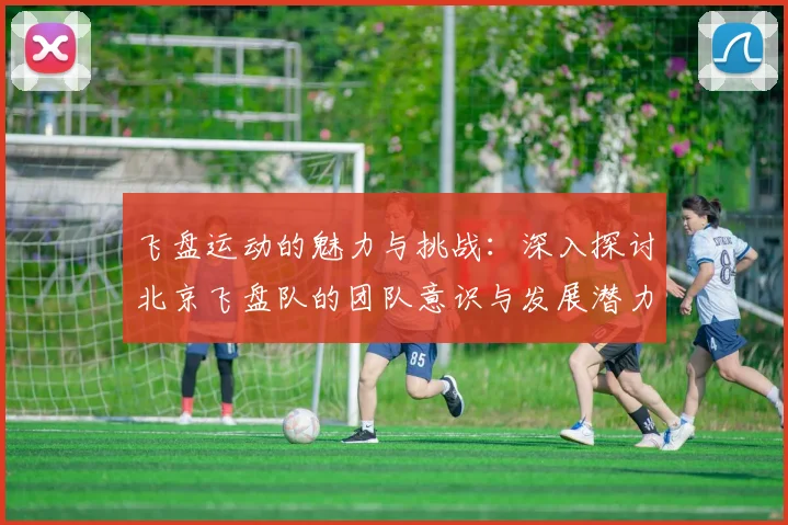 飞盘运动的魅力与挑战:深入探讨北京飞盘队的团队意识与发展潜力