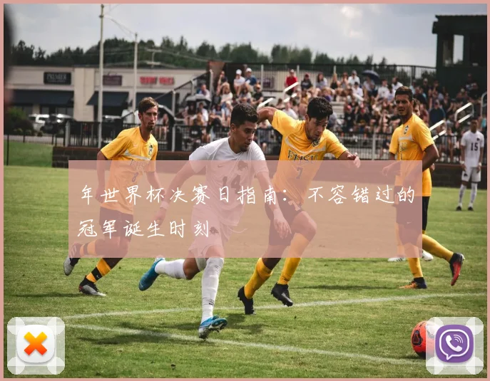 年世界杯决赛日指南：不容错过的冠军诞生时刻