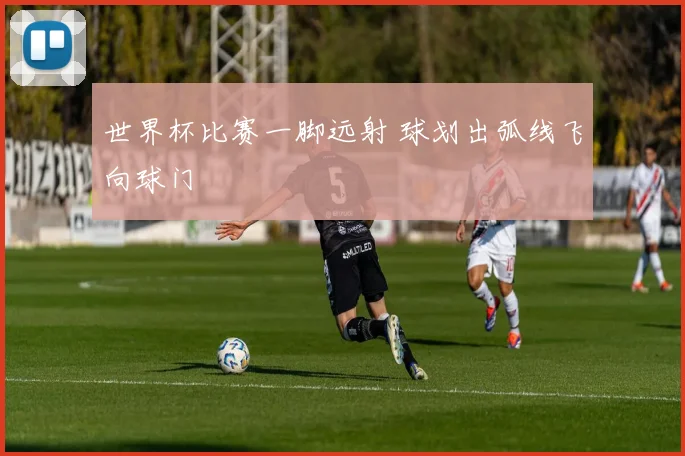 世界杯比赛一脚远射 球划出弧线飞向球门