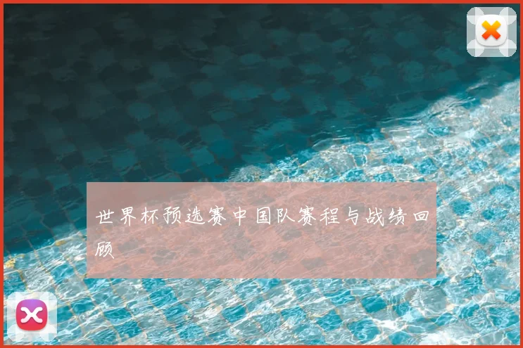 世界杯预选赛中国队赛程与战绩回顾