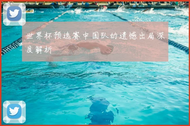 世界杯预选赛中国队的遗憾出局深度解析