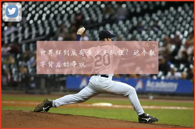世界杯到底有多少支队伍?这个数字背后的争议