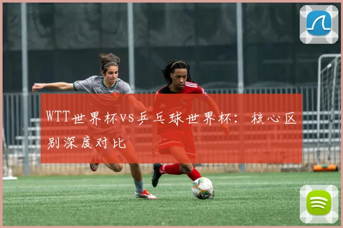 WTT世界杯vs乒乓球世界杯：核心区别深度对比