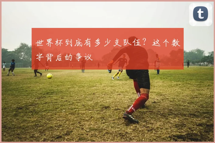 世界杯到底有多少支队伍?这个数字背后的争议