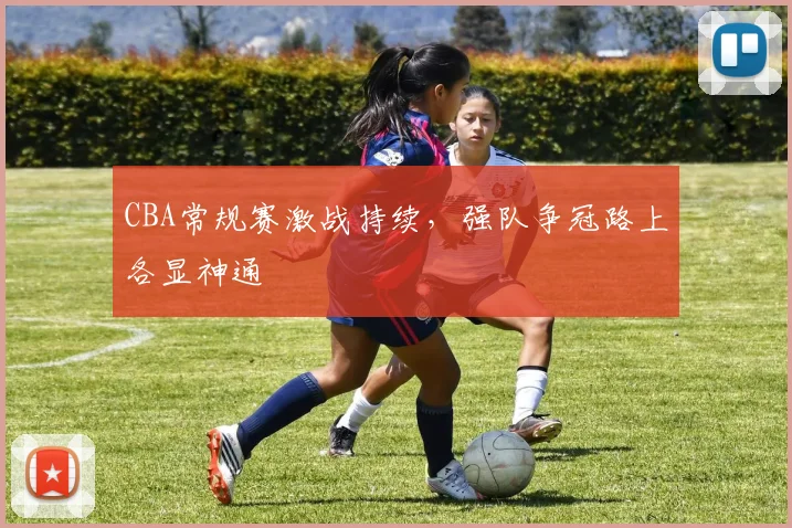 CBA常规赛激战持续，强队争冠路上各显神通