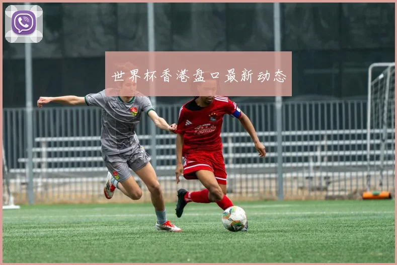 世界杯香港盘口最新动态